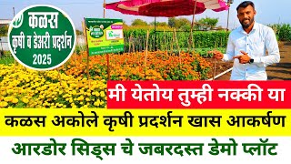 कळस कृषी प्रदर्शन 2025 | आरडोर सिड्स डेमो प्लॉट खास आकर्षण |ardour seeds| कृषिक प्रदर्शन |milindbhor