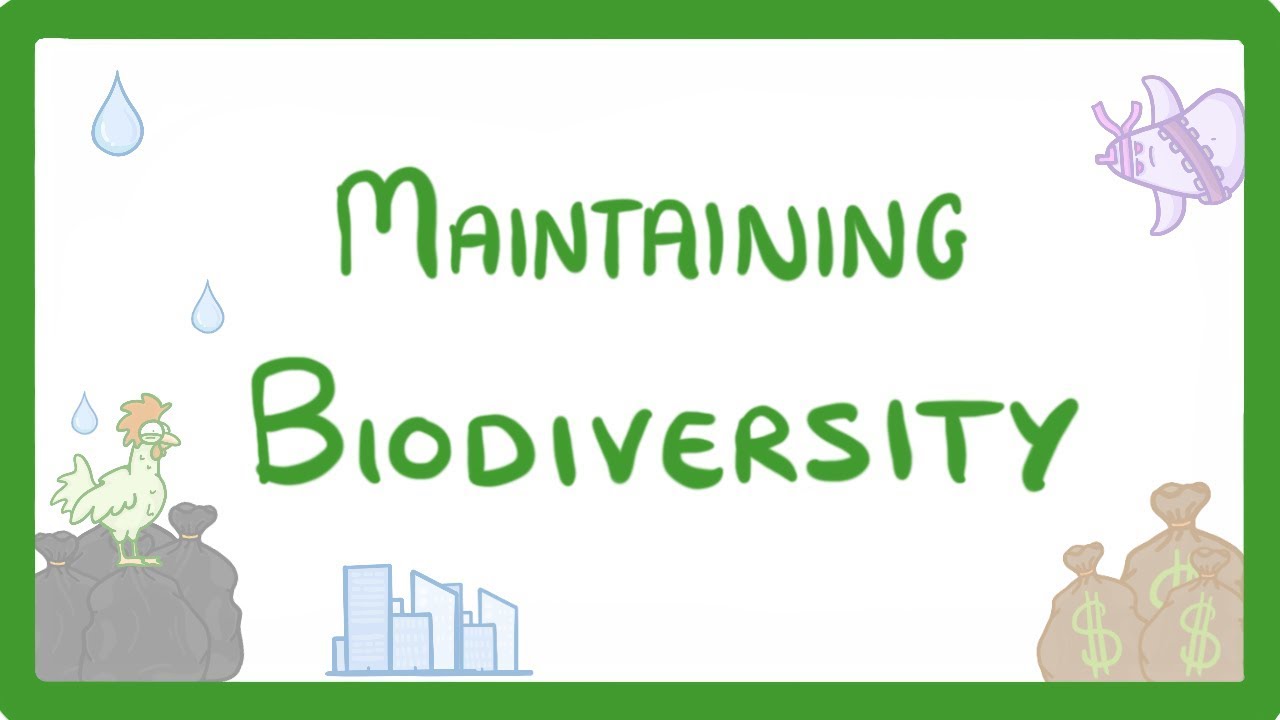 GCSE Biology - Maintaining Biodiversity #90 - YouTube