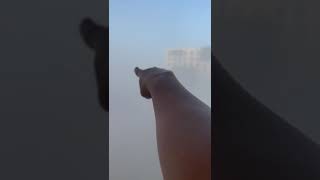 Hala! Grabeh ang kaoal ng fog sa Bahrain halos wala na makita