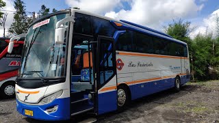 City Tour Jogja Naik Volvo B7R ll Mesin Halus Body Mulus Air Suspensi Empuk Pandangan Luas