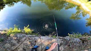 Spinning in a flooded quarry. Mysterious water with BIG FISH!