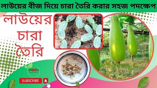 লাউয়ের চারা তৈরি | লাউয়ের বীজ দিয়ে চারা তৈরি করার সহজ পদক্ষেপ | শীতকালীন লাউয়ের জাত