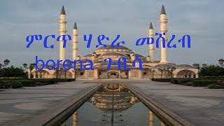 ምርጥ ሃድራ መሸረብ   borena ጉቢሳ