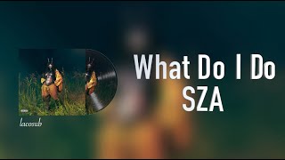 [Vietsub+Lyrics] What Do I Do - SZA