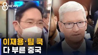 미국 보란 듯 이재용 · 팀 쿡 다 부른 중국 / SBS 8뉴스