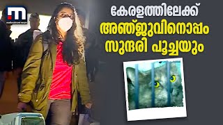 യുദ്ധഭൂമിയില്‍ നിന്നും കേരളത്തിലേക്ക്, അഞ്ജുവിനൊപ്പം സുന്ദരിപ്പൂച്ചയും