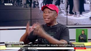 2024 Elections | EFF leader Julius Malema on land, the economy, opening Africa's borders