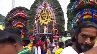 Thaipusam 2020 from Batu Caves Murugan Temple Mayil Kaavadi