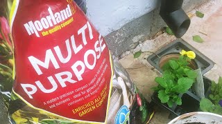 Moorland multi purpose enriched all round compost (with improved water Retention) review