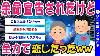 【2ch号泣スレ】余命宣告された俺が恋をした話するww【ゆっくり解説】