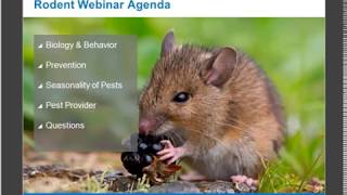 Ecolab Rodent Webinar Recording - October 24, 2017