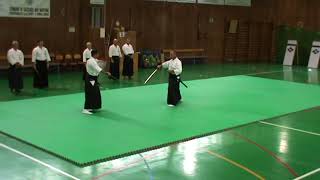 Kōryūkai 2017 Kobudō Enbu Taikai - Hontai Yoshin Ryū