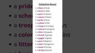 Collective Nouns   Improve your English   #learning #collectivenoun #noun #englishgrammar