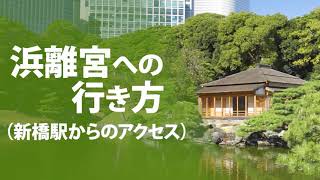 浜離宮への行き方（新橋駅からのアクセス）