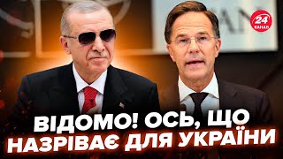 😮Увага! Рютте анонсував НЕСПОДІВАНИЙ візит. ЕКСТРЕНО їде до Ердогана. ШОКУЮТЬ рішенням по Україні?