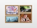 Stephen Weber: Composer/Songwriter/Performer