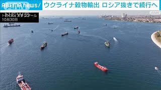 ウクライナ産穀物の黒海輸出　ロシア抜きでも続行へ(2022年11月1日)