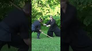 NINJA FIGHTING TECHNIQUE 🥷🏻 Ninjato Training: Tomo Ryu Tojutsu Jissen Gata Ichi #Shorts