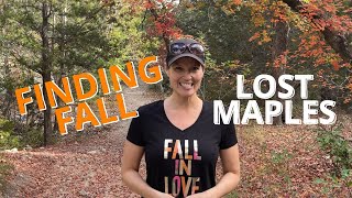 Finding the Lost Maples