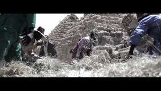 Abbush Zallaqaa 2016  New Affan Oromo official music- Amootee