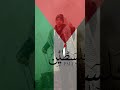 ميدلي نصر فلسطين يا طير الطاير محمد طارق ya tair al tayer