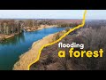 We are flooding a forest - here’s why