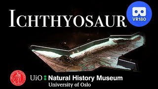 VR180 - Virtual Tour - Ichthyosaur - Museum of natural history