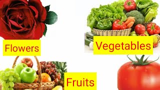 Fruits Name, Vegetables Name and Flowers Name