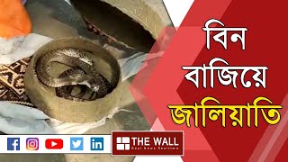 সাপের খেলা দেখিয়ে জালিয়াতির পর্দাফাঁস #snakecharmer #snakesinindia #thewallbengalinews #snakes