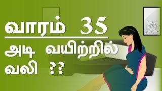 The Pregnancy | week  by week | Tamil | Week 35