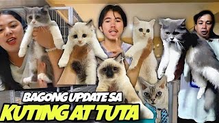 UPDATE LANG PO SA MGA AVAILABLE CATS AND DOGS | FEBRUARY 25, 2025