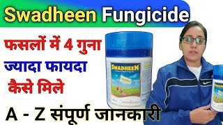 How to use swadheen fungicide | tebuconazole 10%+ sulphur 65 %wg | contact\u0026systemic fungicide