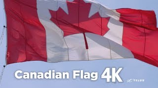 Canadian Flag 4K