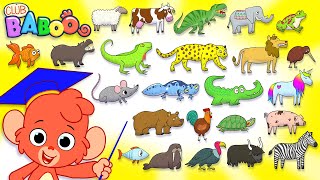 Animal ABC | Learn the alphabet with 26 animals for children | Alphabet Zoo Baby ABCD