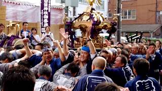 IMGP10382　東京　墨田区　祭り　神輿　堤通一丁目町会　2016