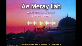 Ae Meray iLah | Heart Touching Hamad | Poetry of Shaheed | Slowed & Reverb | Welldone Hafiz