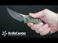 Microtech/Bastinelli Creations Brachial AUTO Folding Knife