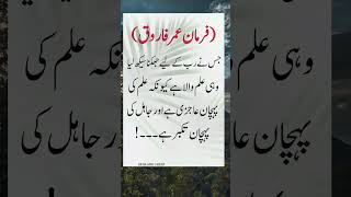 Hazrat Umar R Urdu Islamic Quotes Urdu Quotes Shorts Video Islamic Quotes Urdu Poetry Viral