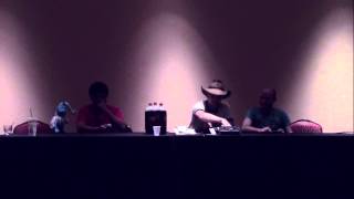 Fiesta Equestria 2014 - Pony The Interruption