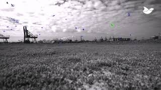 AVIX Bird detection system using machine learning / artificial intelligence