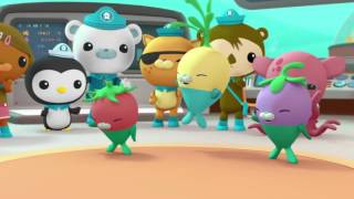 Octonauts: Creature Report Compilation - Series 1