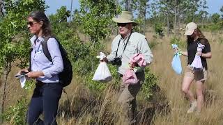 2024 ABRP Indigo Snake Release