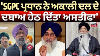 Harmeet Kalka : 'SGPC ਪ੍ਰਧਾਨ ਨੇ Akali Dal ਦੇ ਦਬਾਅ ਹੇਠ ਦਿੱਤਾ ਅਸਤੀਫਾ' | Harjinder Dhami | N18V