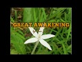 Great Awakening/Tom Inglis