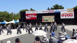 東京よさこいなな丸隊～川棚温泉 舞龍祭（メイン会場２回目）