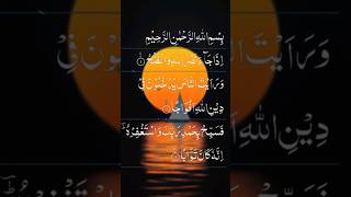 Surah AN-NASR beautiful recitation #egzonibrahimi #surah_nasr #allah #islamicprayer #islamicpractice