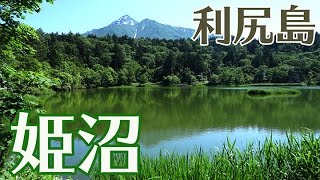 利尻島　姫沼の遊歩道を一周