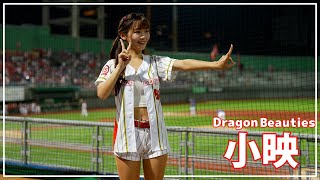 小映 ( Kaitlyn ）Dragon Beauties 小龍女 味全龍啦啦隊  天母棒球場 2022/08/20【台湾チアTV】