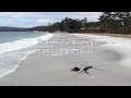 from the air tasmania. unparallel beauty. drone video only.