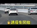 【超スッキリ15連発‼️】覆面パトカー・白バイの取り締まり‼️　 サイレン 警察 取締り police